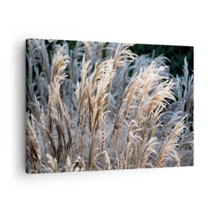 Canvas picture - Winter blades of grass covered with frost against a dark green background - 70x50cm - Decorated with Frost - Modern wall decoration for the living room and bedroom ARTTOR