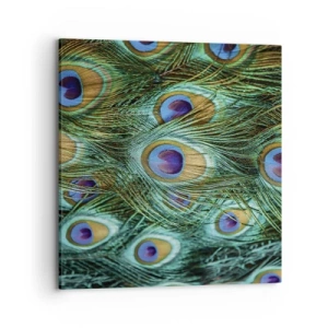 Canvas picture - Peacock Eyes - 70x70 cm