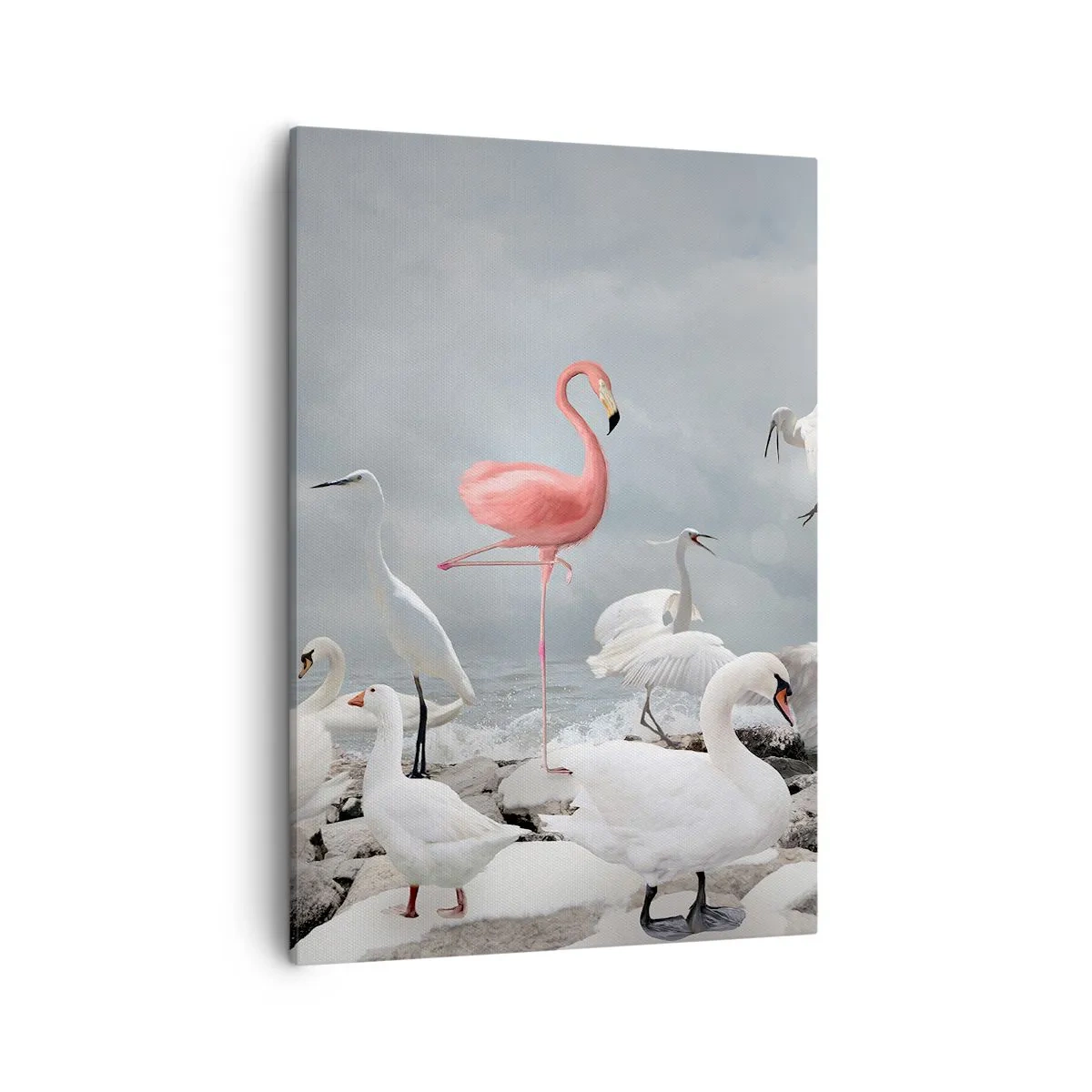 Canvas picture - Where Did I Come from? - 50x70 cm