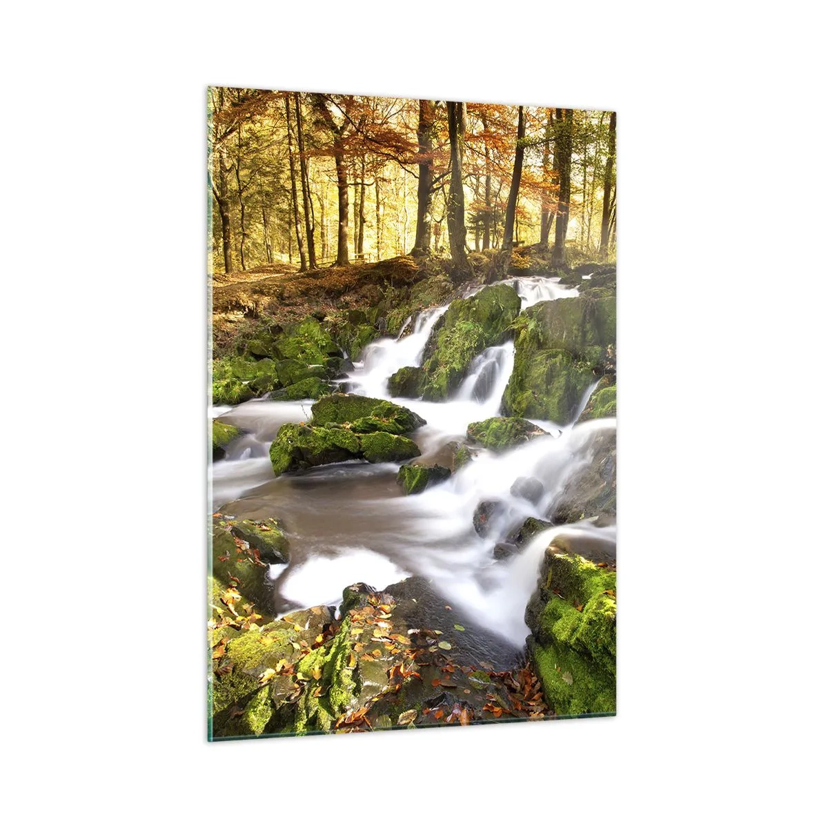 Glass picture - Gingerly through an Autumnal Forest - 50x70 cm