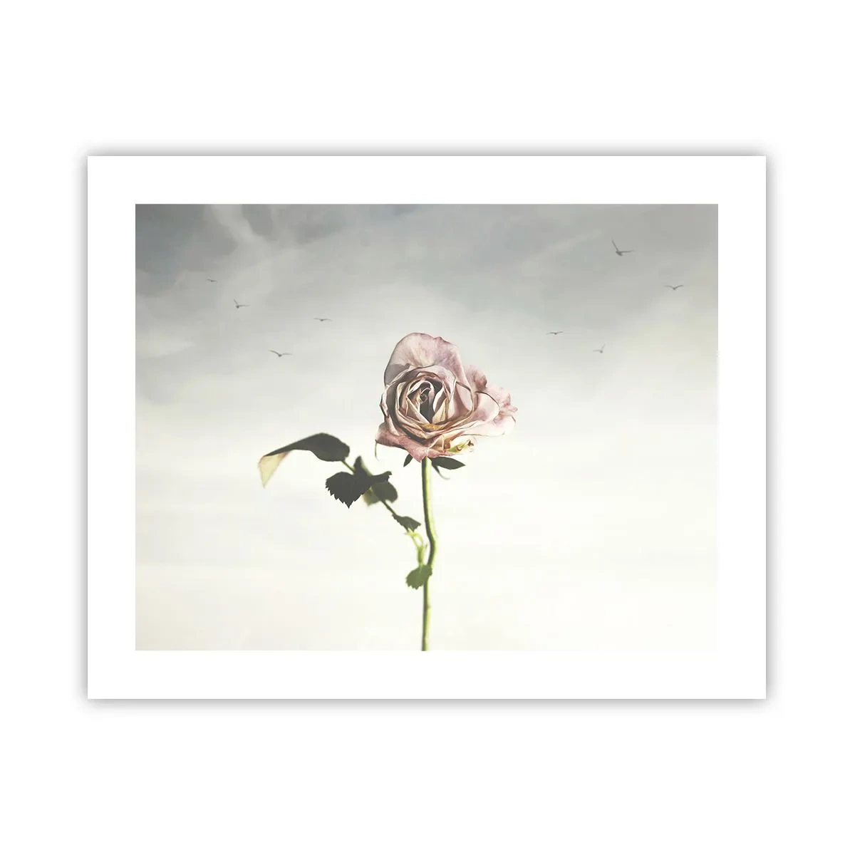 Poster - Welcoming of Spring - 50x40 cm