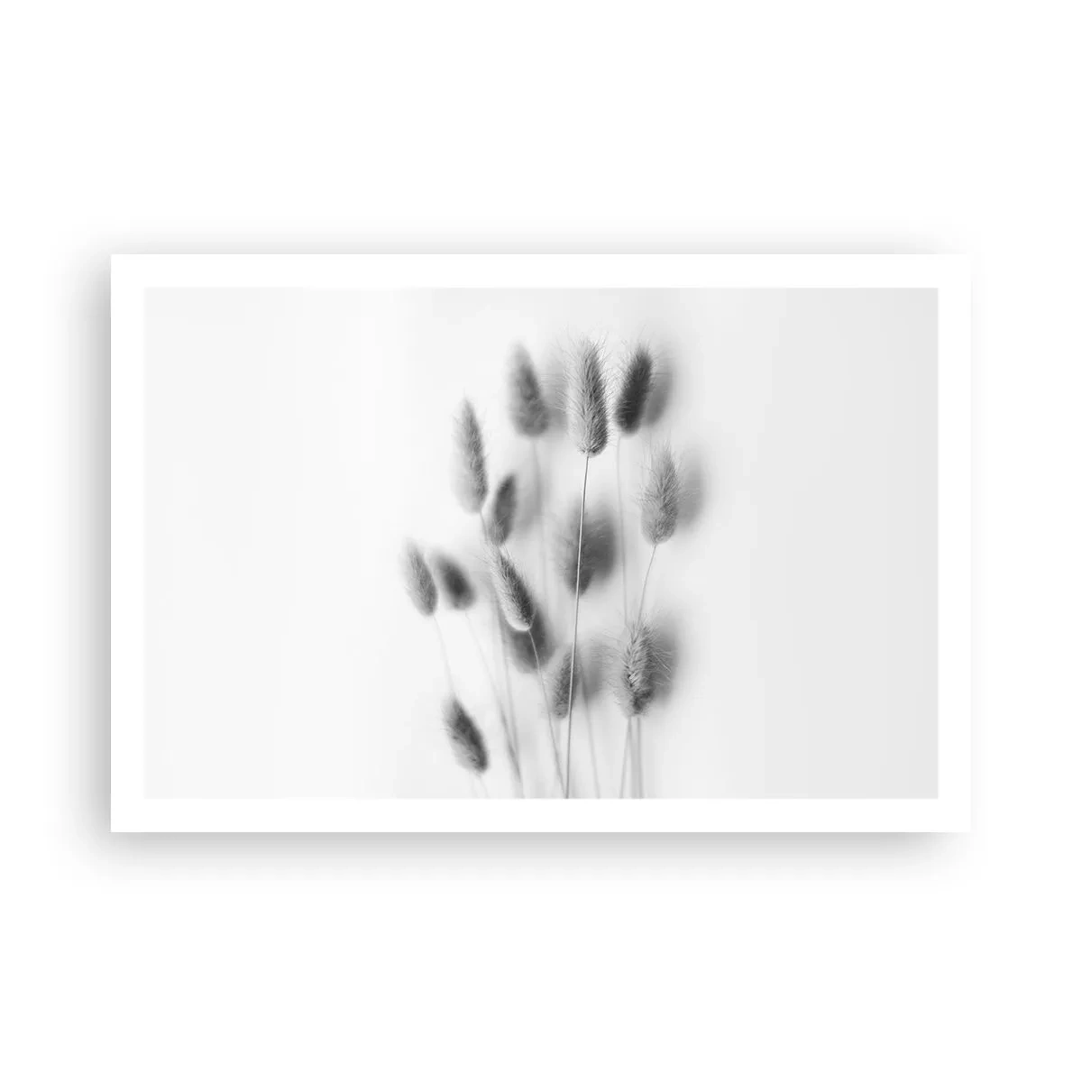 Poster - Her Softness Grass - 91x61 cm