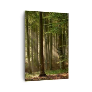 Canvas picture - Beaming in Spring Morning - 70x100 cm