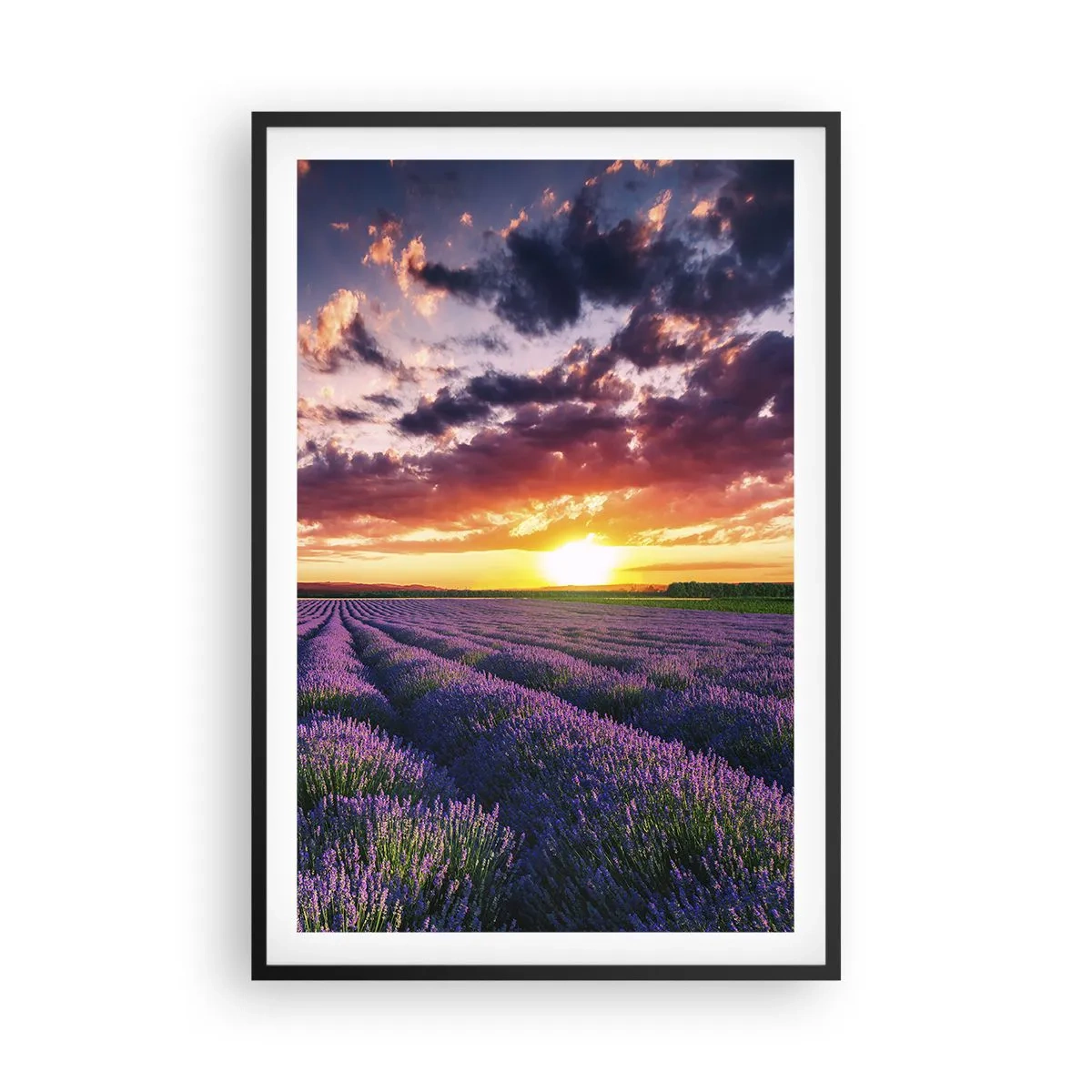 Poster in black frame - Lavender World - 61x91 cm