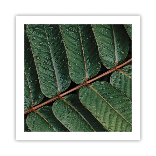 Poster - In Green Rhythm - 50x50 cm