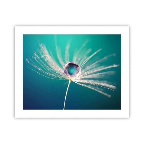 Poster - Mystical Moment - 50x40 cm
