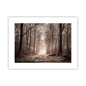 Poster - Cathedral of the Forest - 40x30 cm