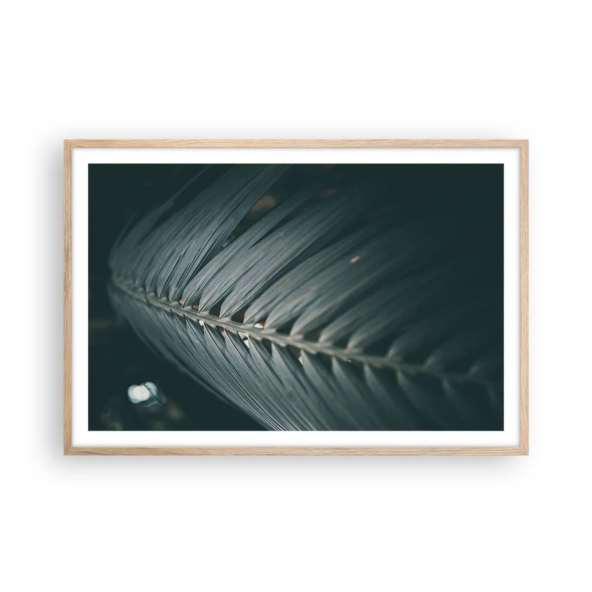 Poster in light oak frame - Precision of Nature - 91x61 cm