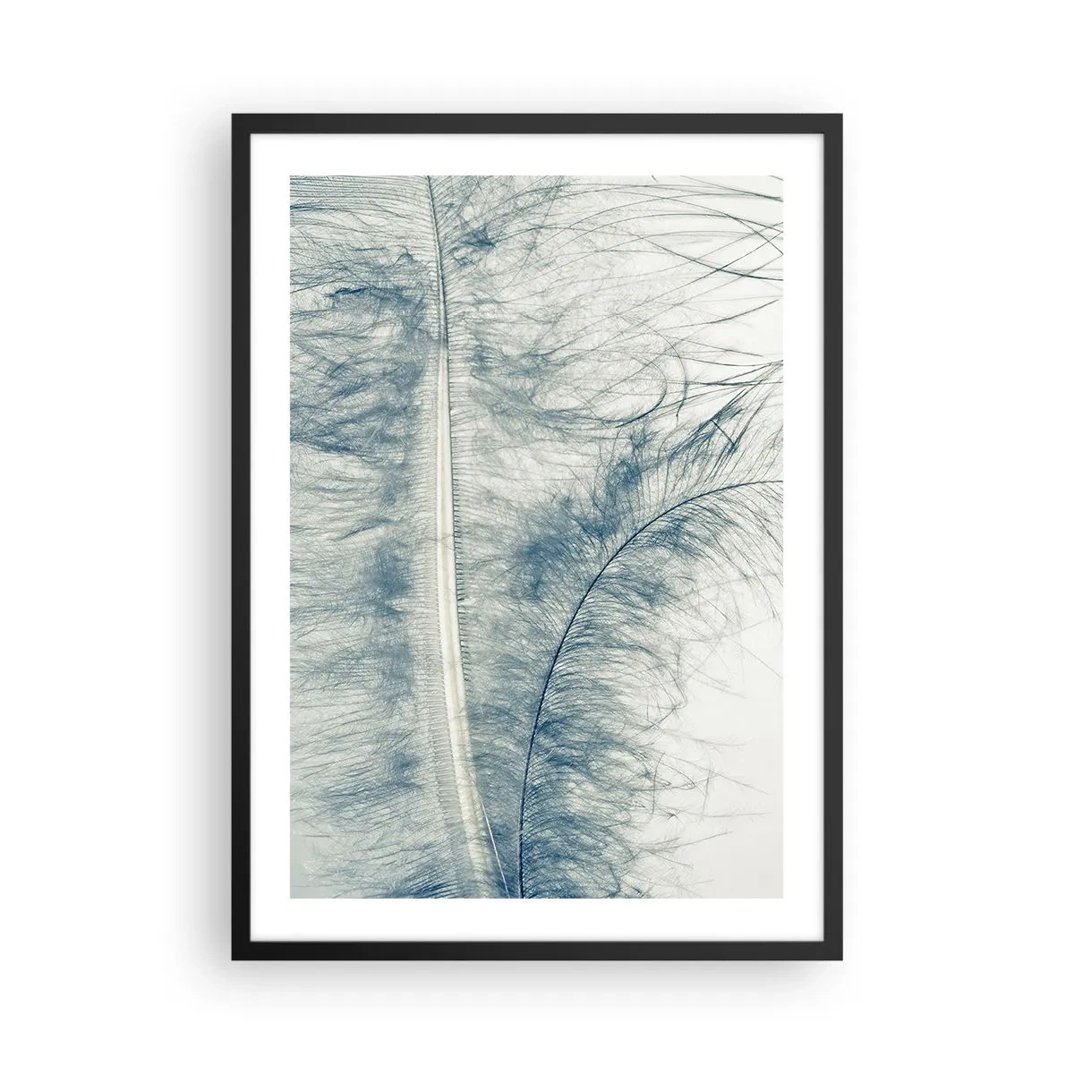 Poster in black frame - A delicate feather in subtle shades of blue - 50x70cm - Whisper of Nature - Modern wall decoration for the living room and bedroom ARTTOR