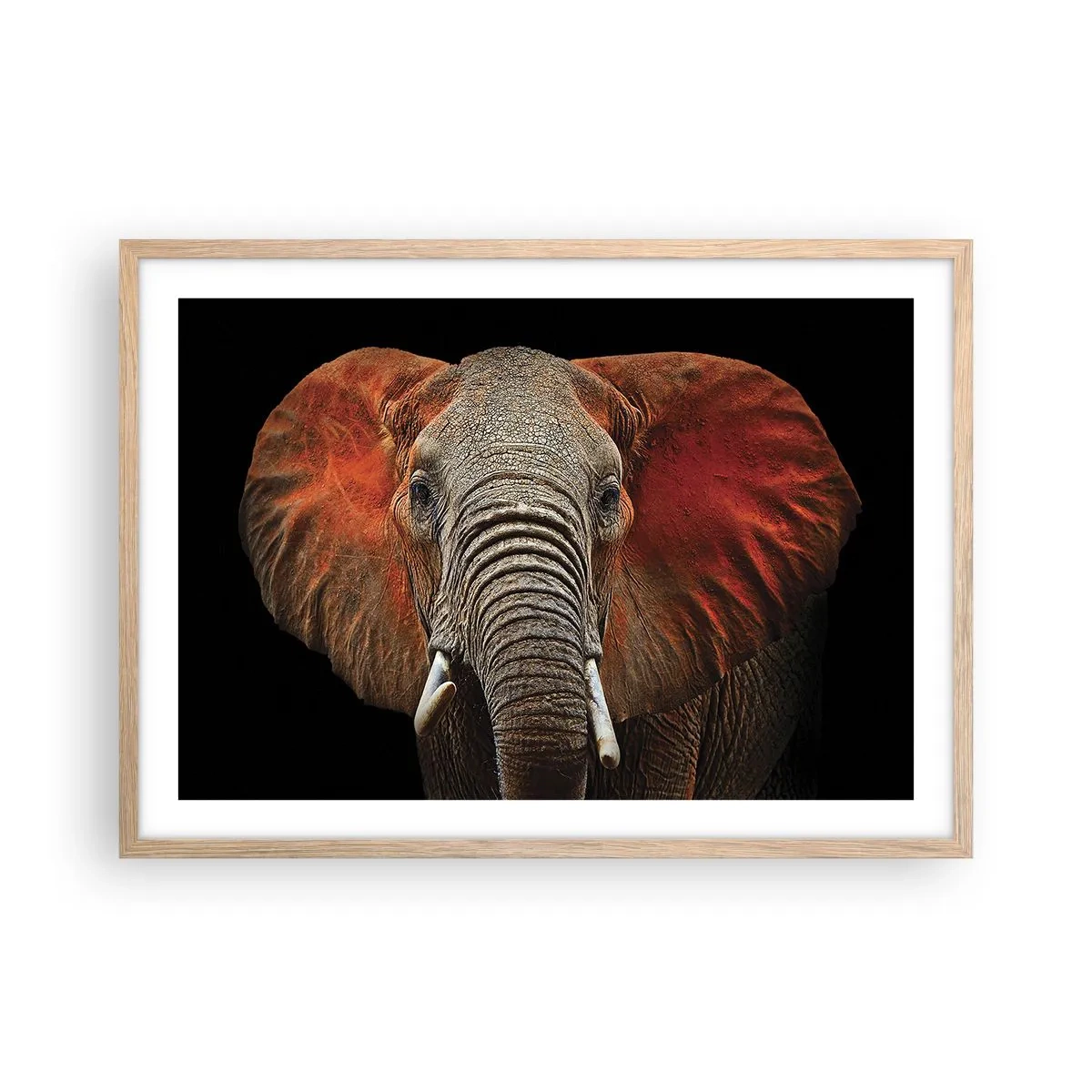 Poster in light oak frame - I am Wild, and You? - 70x50 cm
