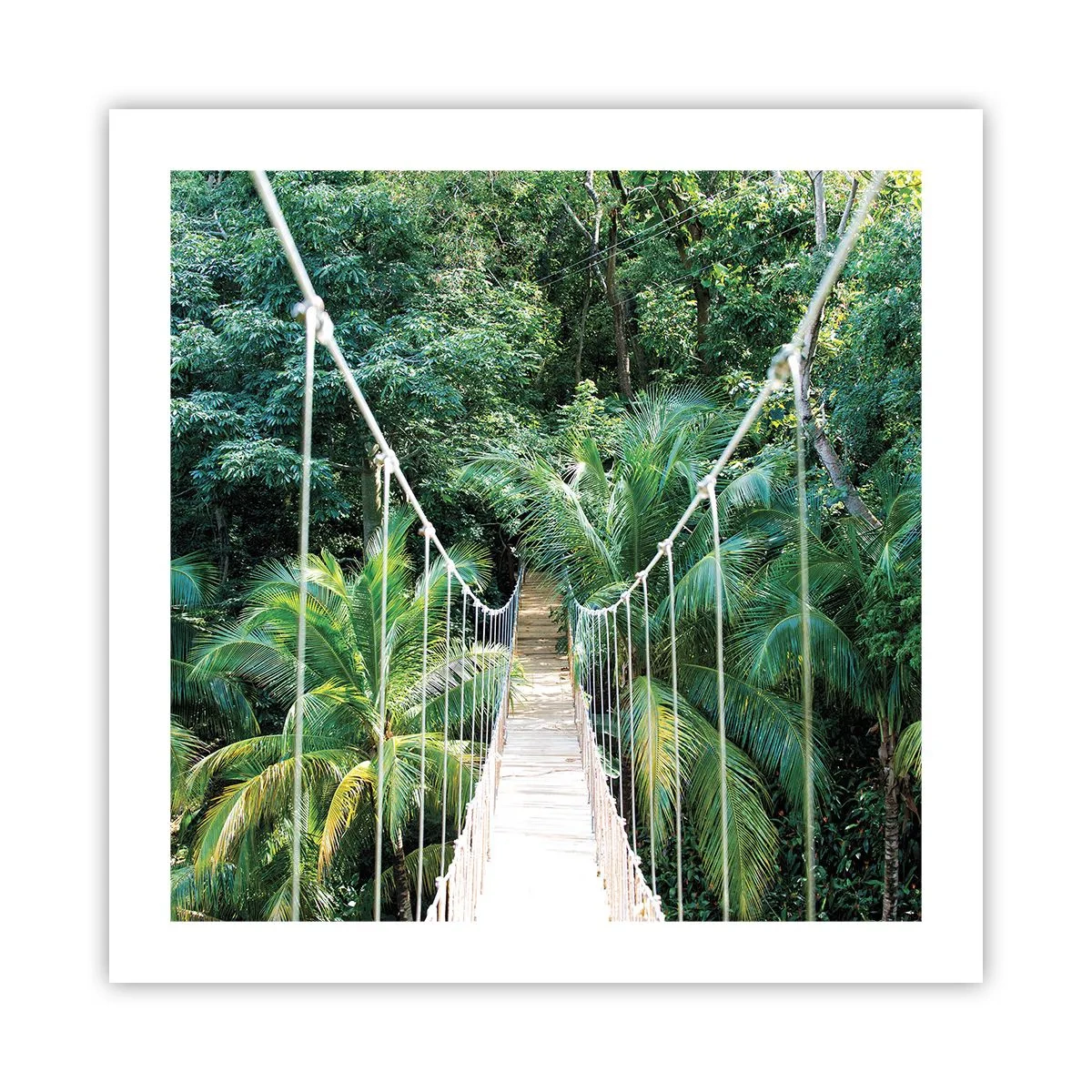 Poster - Welcome to the Jungle! - 50x50 cm