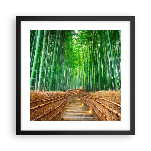 Poster in black frame - Essence of Asian Nature - 40x40 cm
