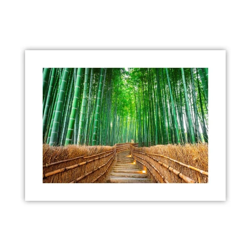 Poster - Essence of Asian Nature - 40x30 cm