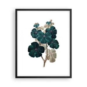 Poster in black frame - From the Old Herbarium - 40x50 cm