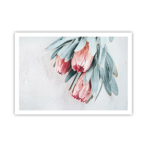 Poster - Ashamed of Their Own Beauty - 100x70 cm