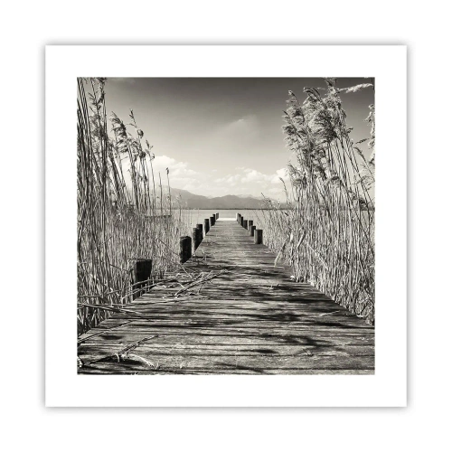 Poster - In the Grass - 40x40 cm