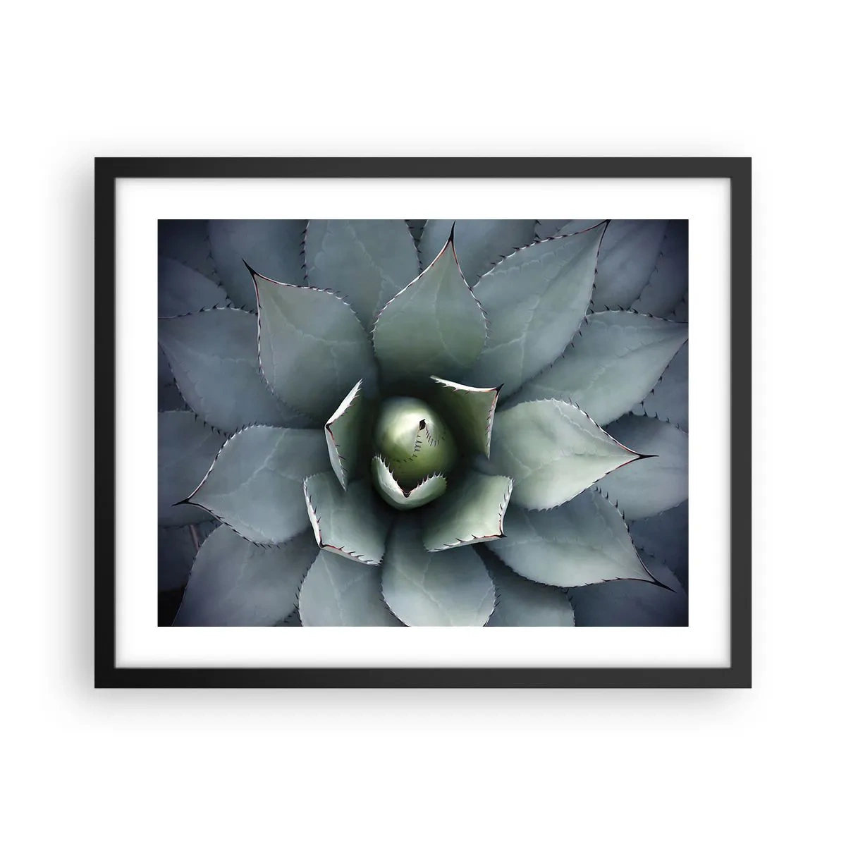 Poster in black frame - Attracts and Warns - 50x40 cm