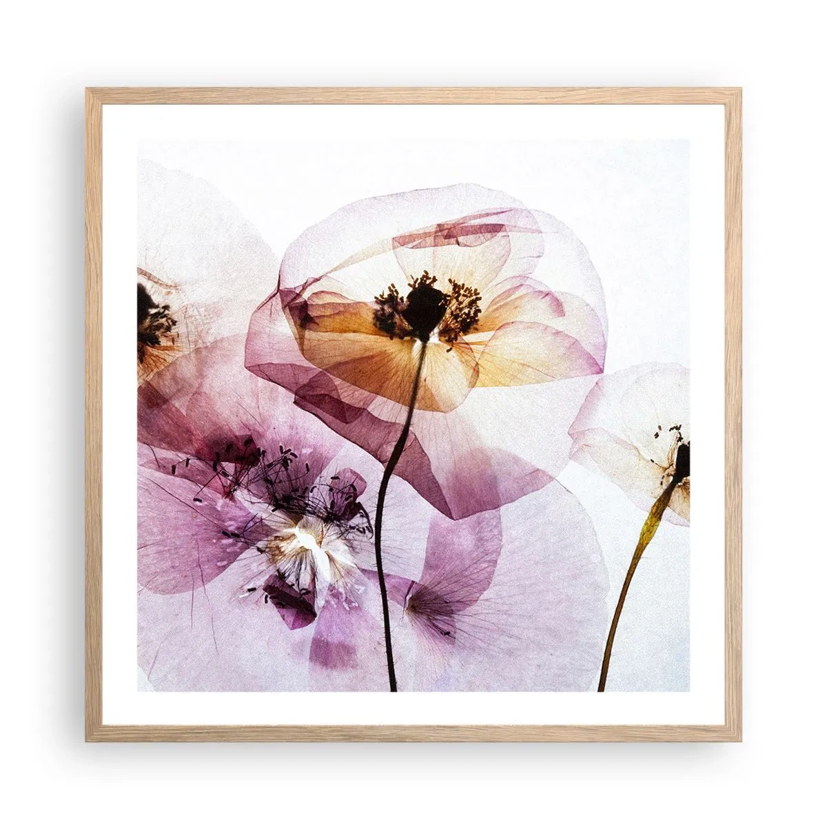 Poster in light oak frame - Flower Body Slide - 60x60 cm
