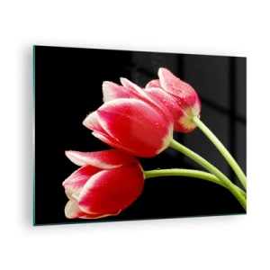 Glass picture - Red tulips with dew drops on a black background - 70x50cm - Promise of Pure Love - Modern wall decoration for the living room and bedroom ARTTOR