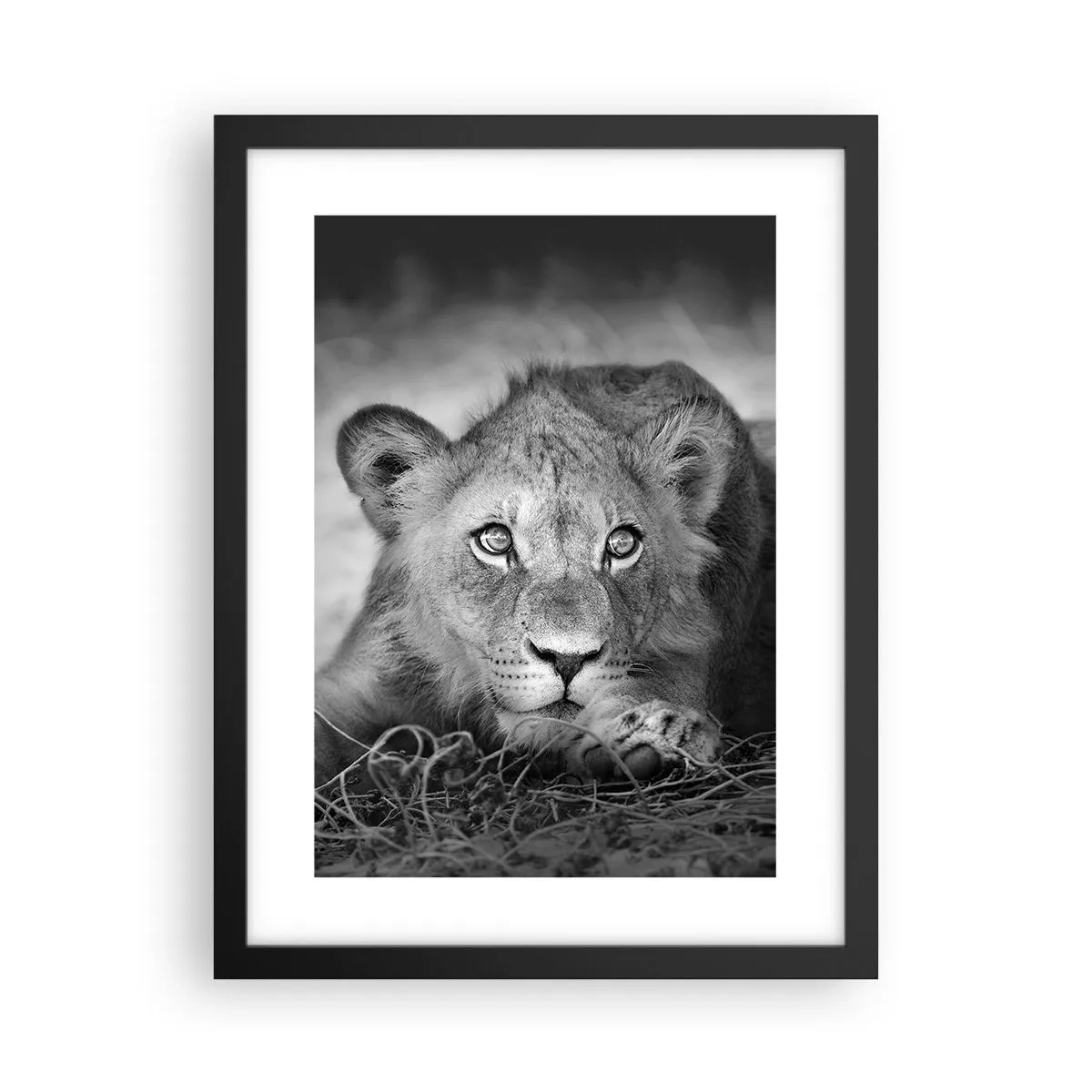 Poster in black frame - Royal Puppy - 30x40 cm