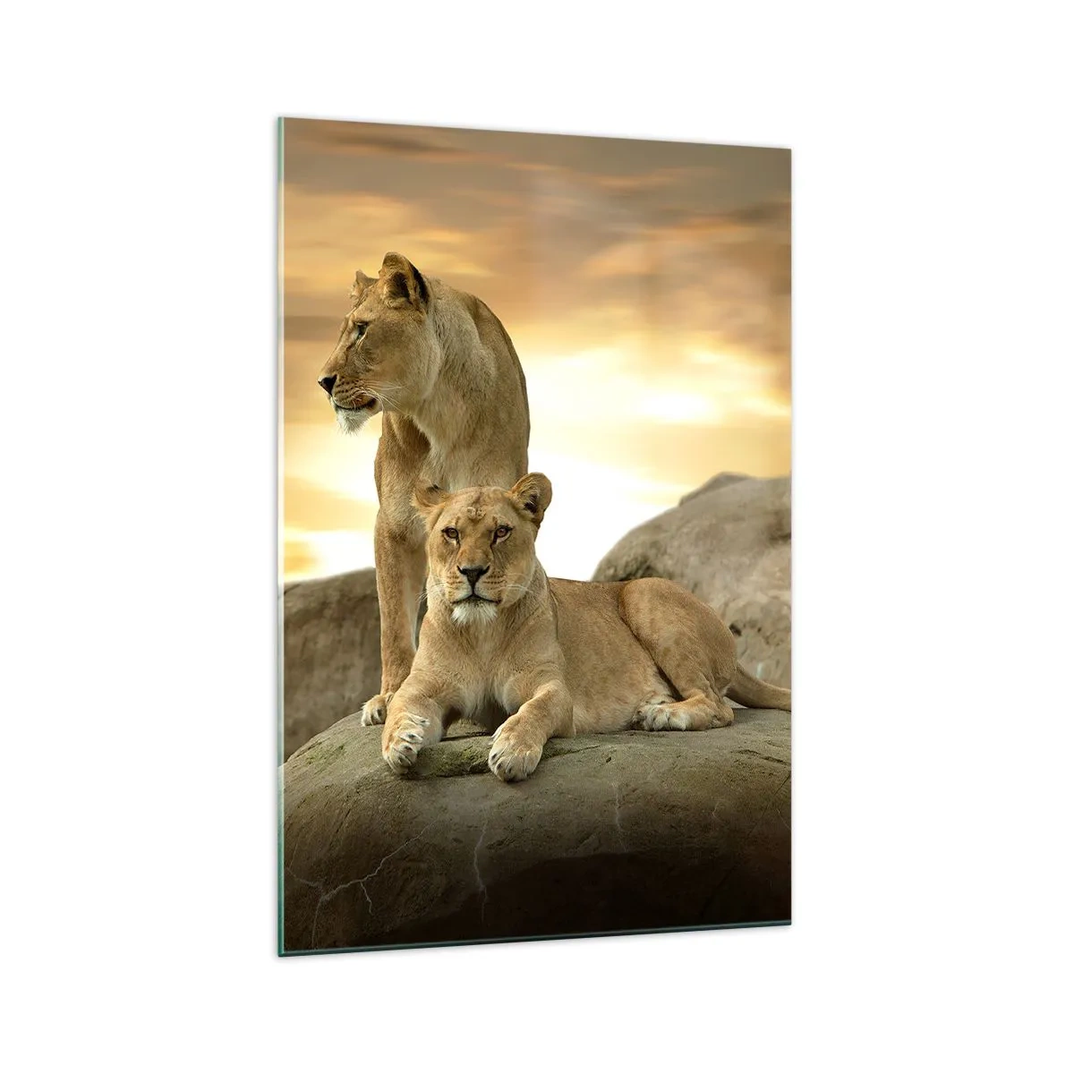 Glass picture - Royal Majesty - 70x100 cm