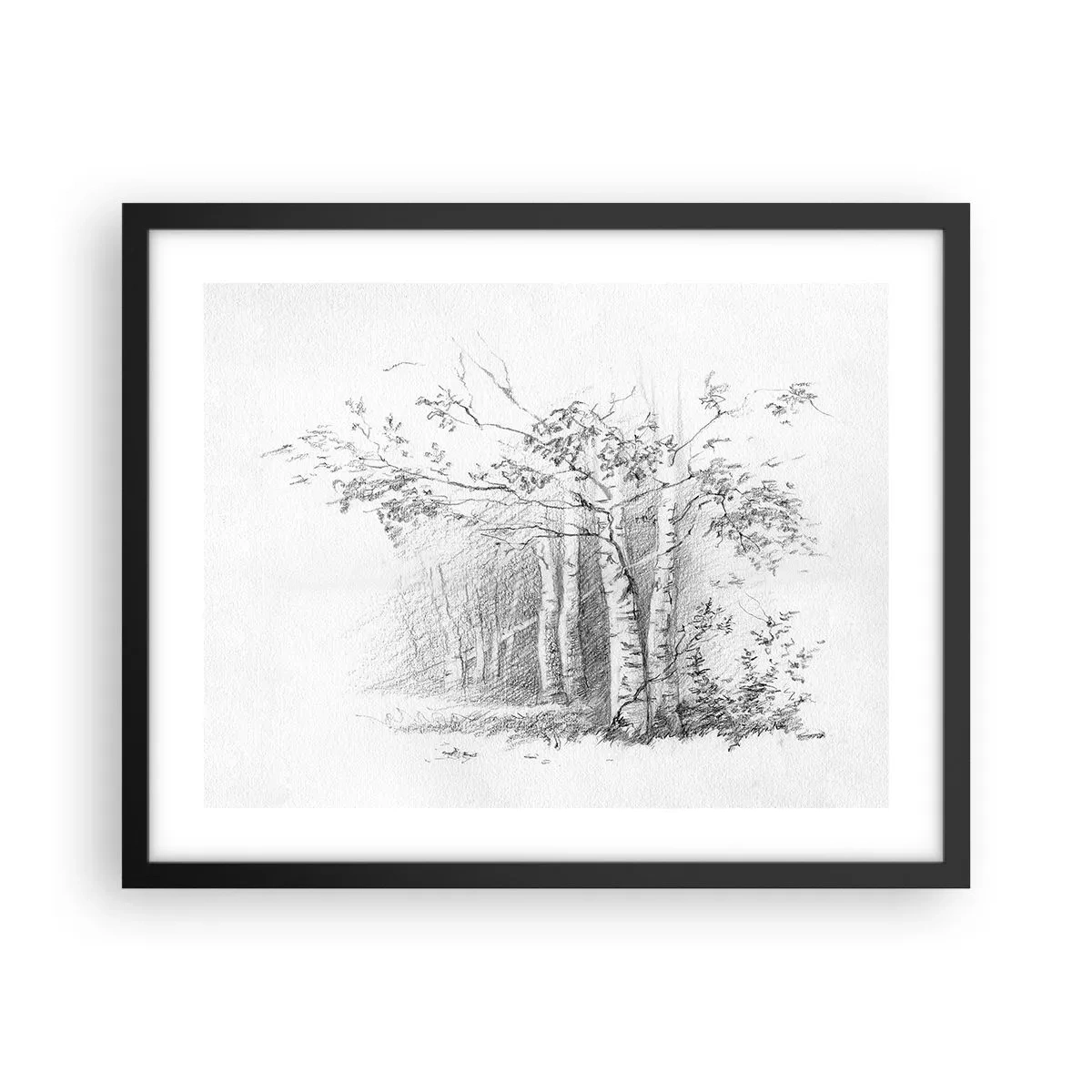 Poster in black frame - Holiday of Birch Forest - 50x40 cm