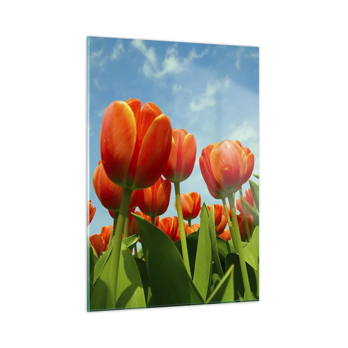 Glass picture - Blue Sky Is All They Need - 50x70 cm