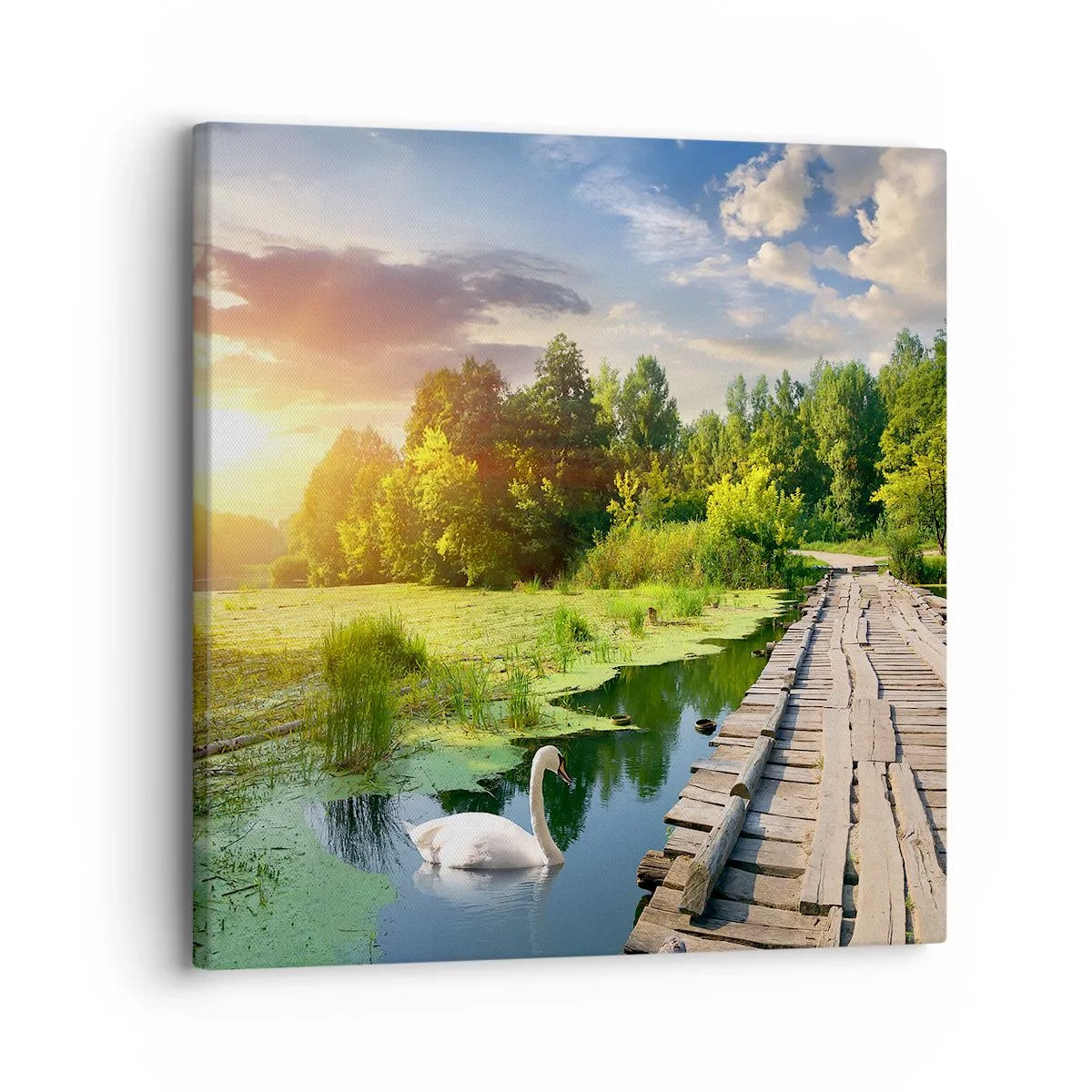 Canvas picture - Summer Everywhere - 30x30 cm