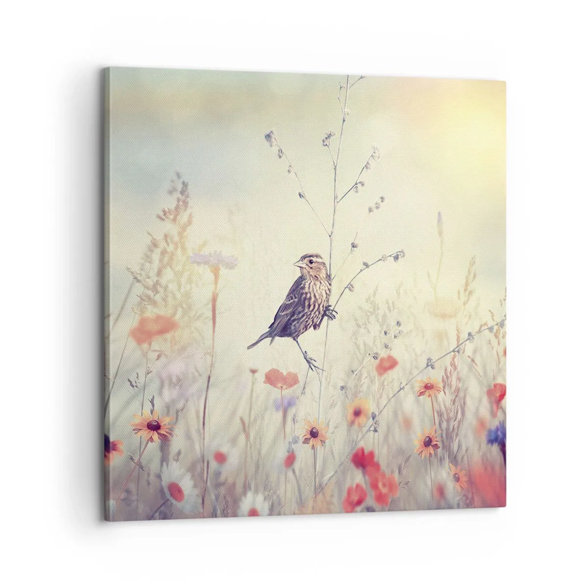 Canvas picture - Bird Portrait with a Meadow in the Background - 60x60 cm