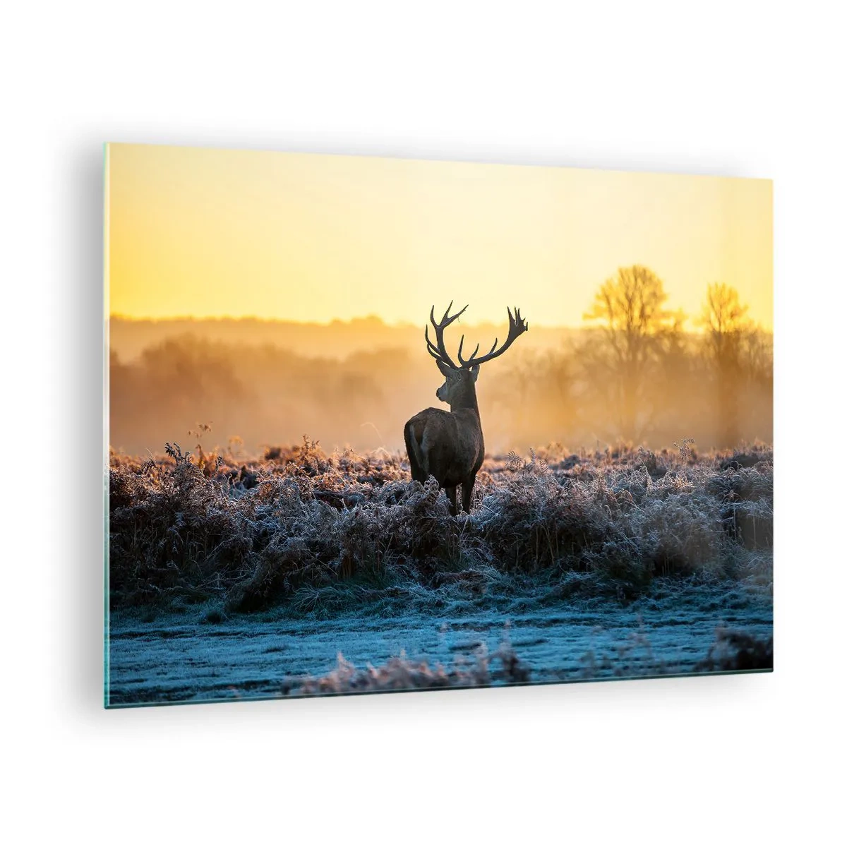 Glass picture - Deer on a frosty morning with the sunrise in the background - 70x50cm - Crowned in Its Kingdom - Modern wall decoration for the living room and bedroom ARTTOR
