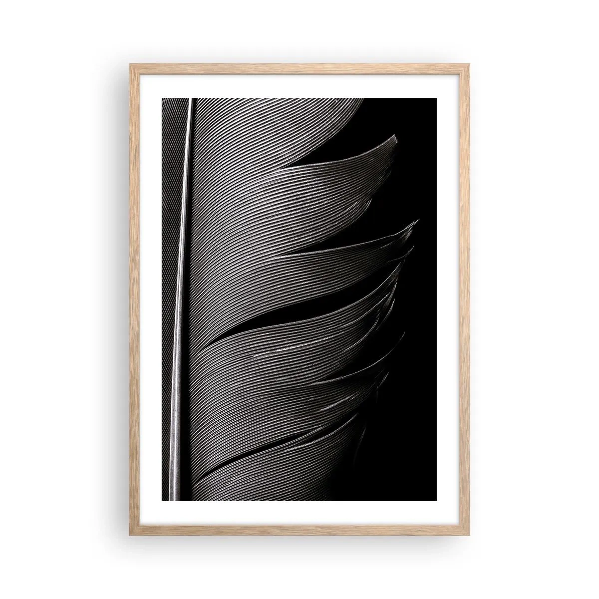 Poster in light oak frame - Feather - Wonderful Constract - 50x70 cm