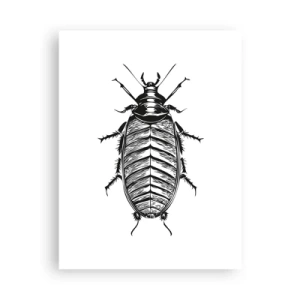 Poster - What a Specimen - 30x40 cm