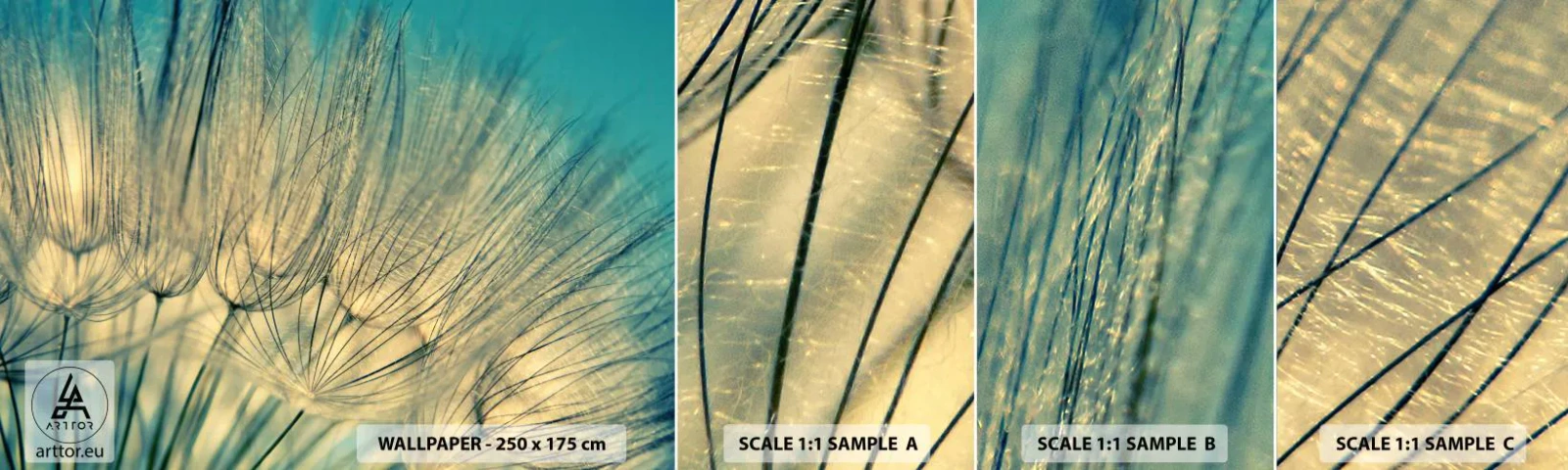 Photo Wallpaper Sample Standard Eco - Waiting for the Wind - Dandelion, Meadow, Nature - 100x30 cm