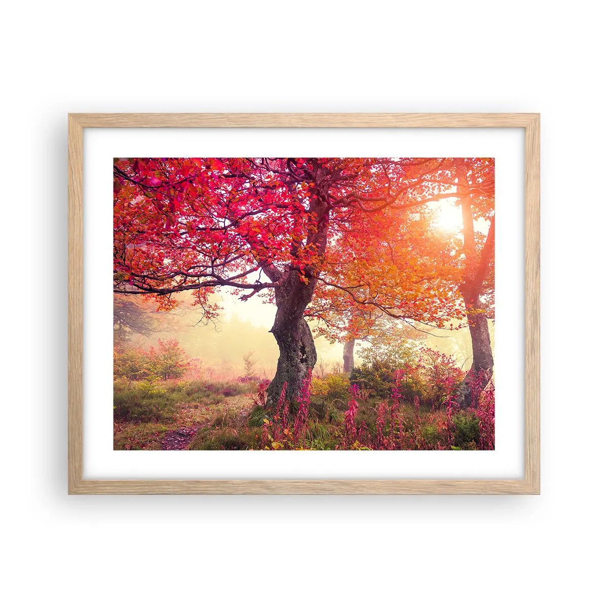 Poster in light oak frame - In Full Bloom - 50x40 cm