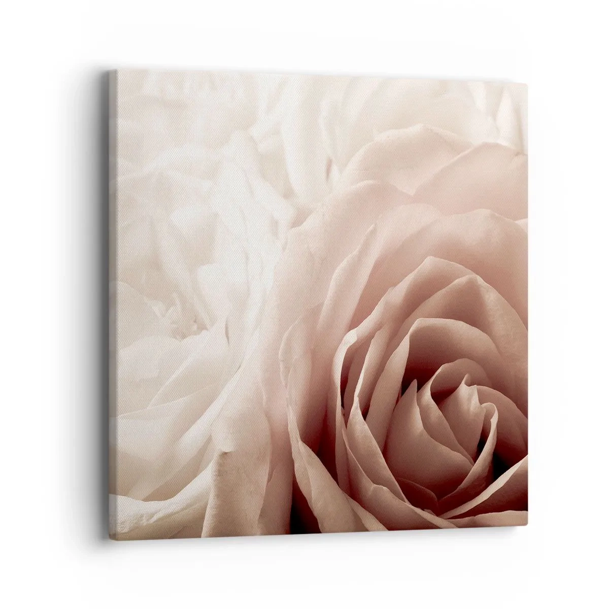 Canvas picture - In the Heart of a Rose - 40x40 cm