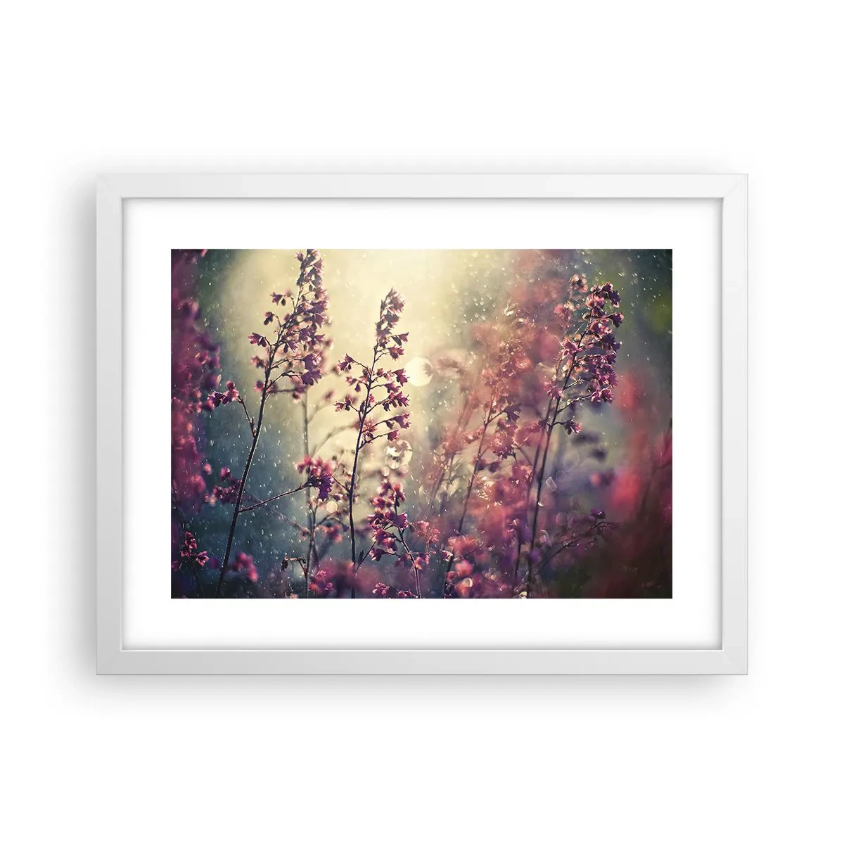 Poster in white frmae - Secret Garden - 40x30 cm