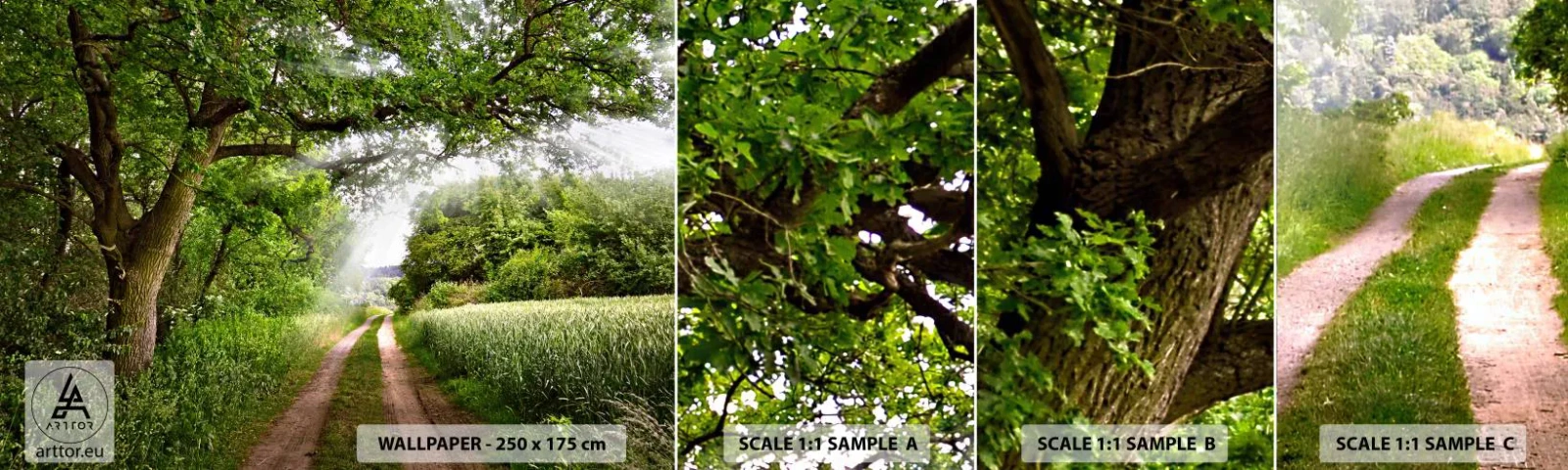 Photo Wallpaper Sample Self-Adhesive Deluxe Sticker - Et in Arcadia Ego - Landscape, Dirt road, Nature - 100x30 cm