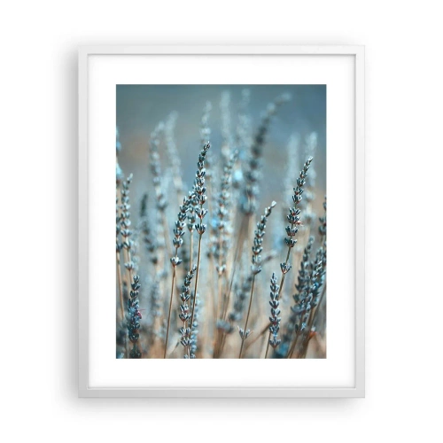 Poster in white frmae - Fragrant Grass - 40x50 cm