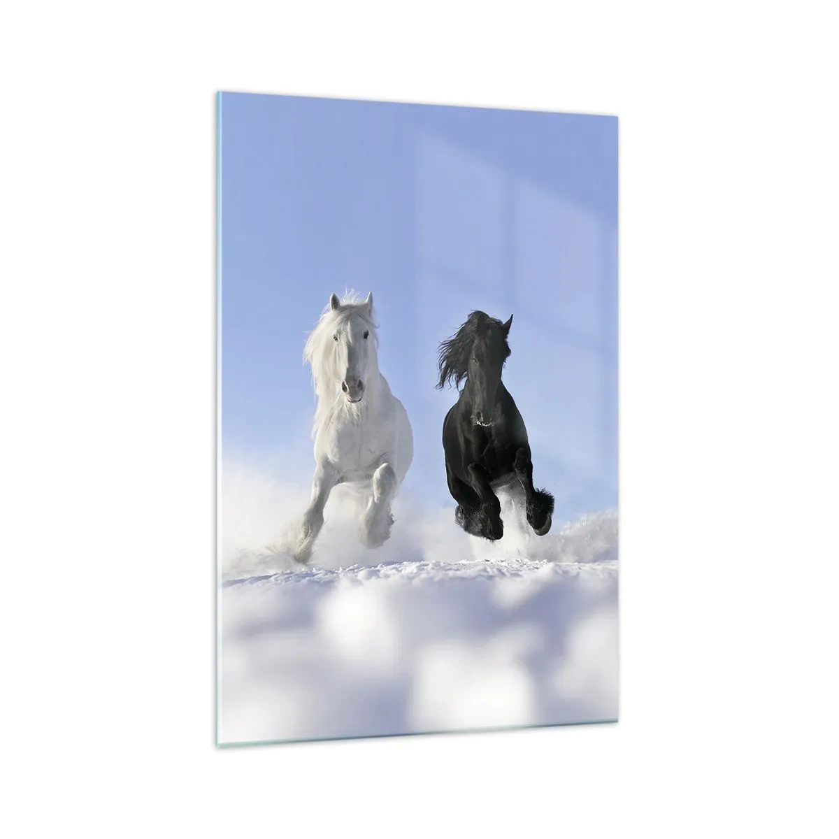 Glass picture - Black and White Gallop - 70x100 cm