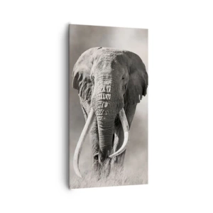 Canvas picture - African Patriarch - 65x120 cm