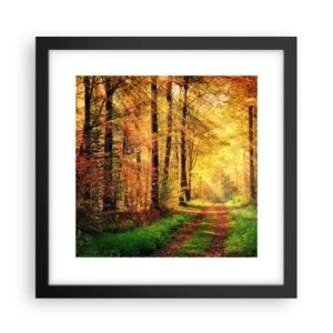 Poster in black frame - Forest Golden silence - 30x30 cm
