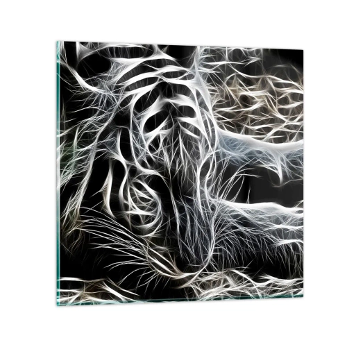 Glass picture - Study in Lightness of Cats - 60x60 cm