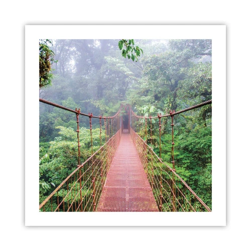 Poster - Suspended above Crowns - 50x50 cm