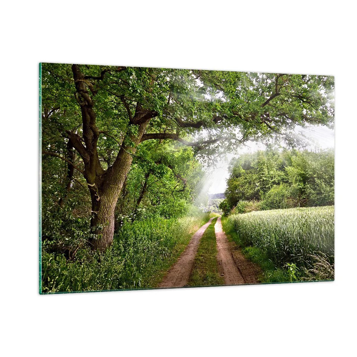 Glass picture - Et in Arcadia Ego - 120x80 cm