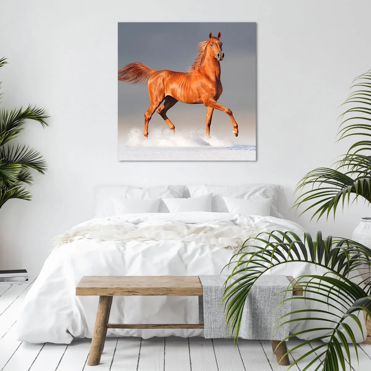 Canvas picture - Dancing Grace - 60x60 cm