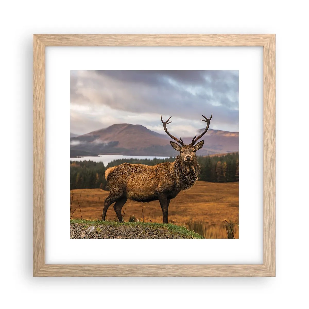 Poster in light oak frame - Majesty of Nature - 30x30 cm
