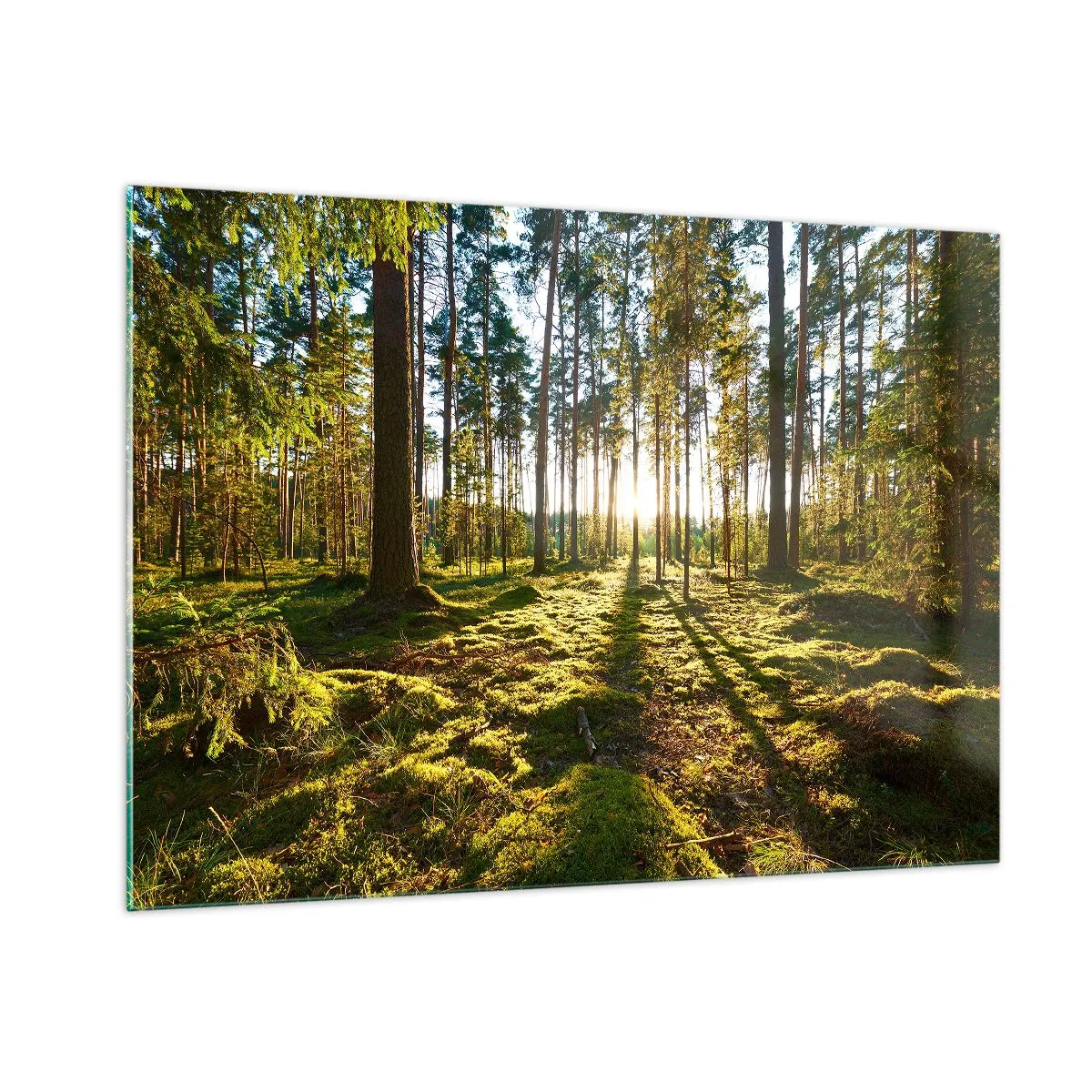 Glass picture - Deep in the Forest - 100x70 cm