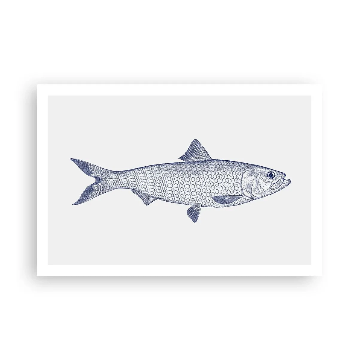 Poster - Greetings From Northern Seas - 91x61 cm