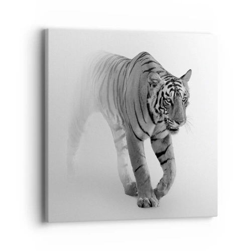 Canvas picture - Crouching in Fog - 40x40 cm