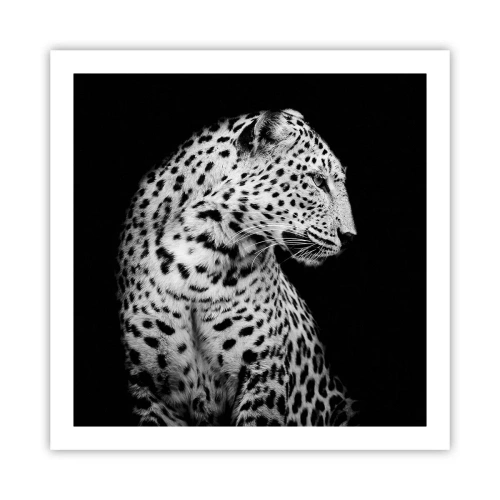 Poster - A Perfect Right Profile  - 60x60 cm